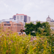 A couple sits in the gardens outside CSL.
